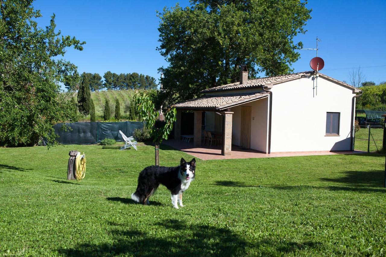 Casa Marta Villa Pitigliano Camera foto